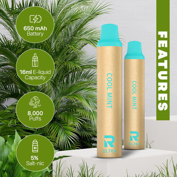 Air Ultra Cool Mint Eco Disposable Rechargeable Vape Pen