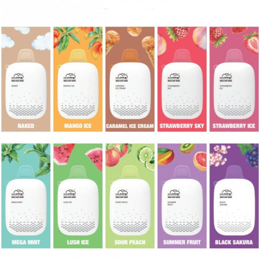 Hyppe Max Air 5000 Disposable Vape 5% Nic