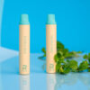 AirPlus-Double-Mint-Eco-Friendly-Disposable-Vape-Pen.jpg