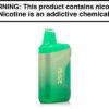 GeekVapeRAZCA6000Disposable-AlaskanMint_1.jpg