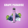 Grape-Paradise-Flavor-500-Puffs-Original-Wholesale-Maskking-E-Cigarettes-Disposable-Vape-Pen-High-Gt-Ready-to-Use-New-Design-Hot-Selling-Product.jpg