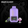 Grape_Slushy_Luffbar_Boring_Tiger_25000_Disposable_Vape_1024x1024_2x_6dd6a306-430e-4ae7-ab6d-0beee3f1d264.jpg